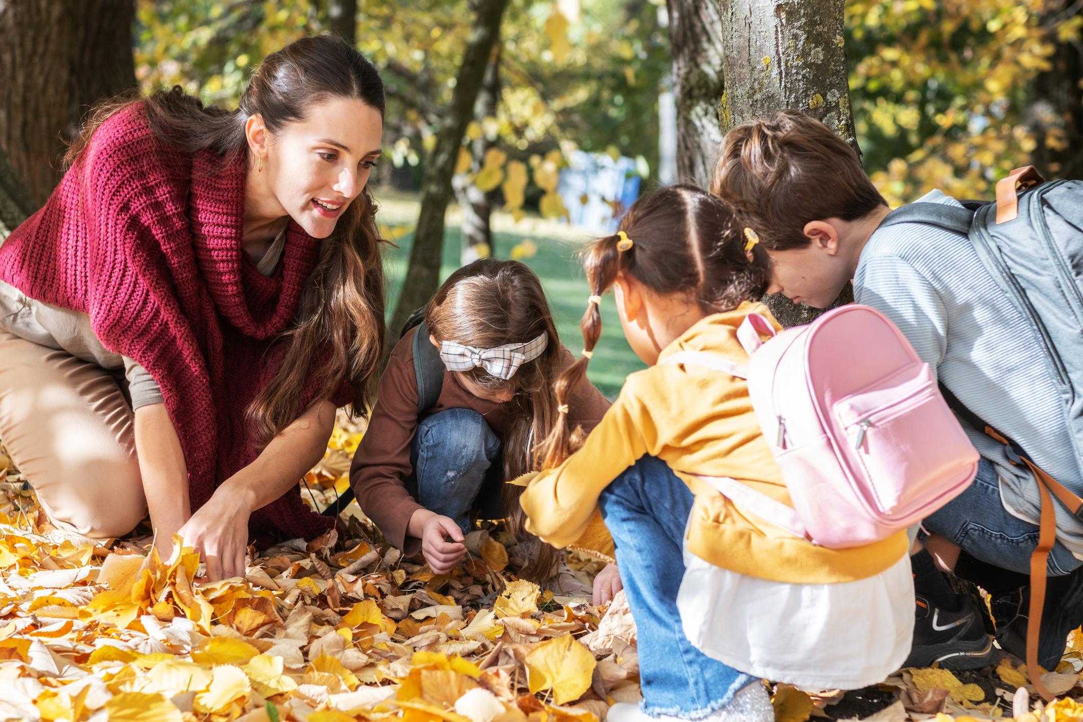 Outdoor Learning: Why Nature Is the Best Classroom